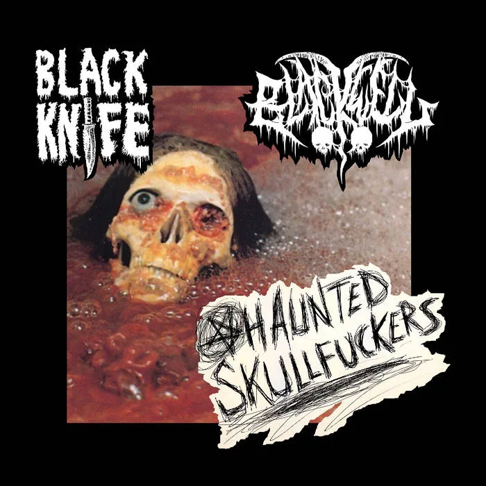 Haunted Skullfuckers cover