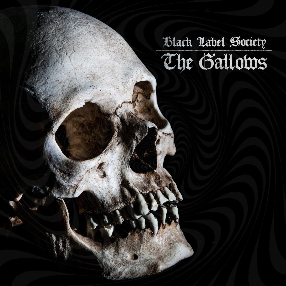The Gallows cover