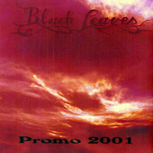 Promo 2001 cover