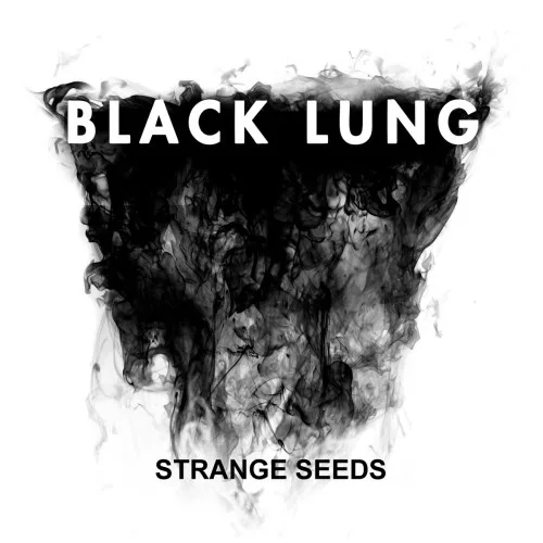 Strange Seeds cover