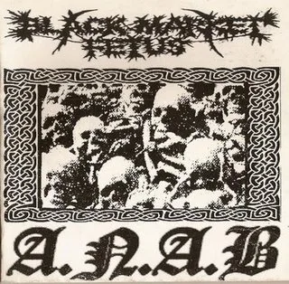 A.N.A.B. cover