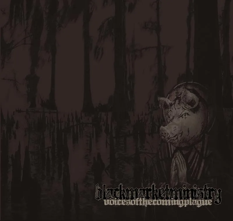 Voices of the Coming Plague cover