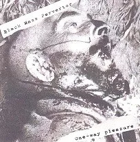 One-way Pleasure cover