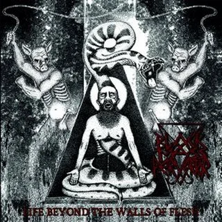 Life Beyond the Walls of Flesh cover