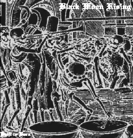 Built to Burn cover