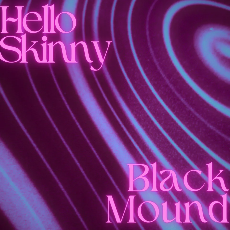 Hello Skinny cover