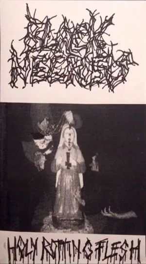Holy Rotting Flesh cover