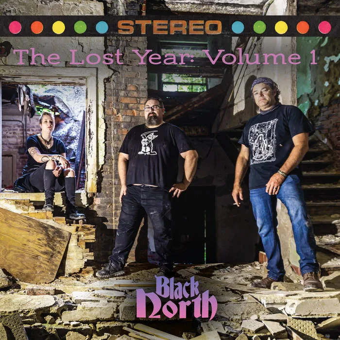 The Lost Year: Volume 1 cover
