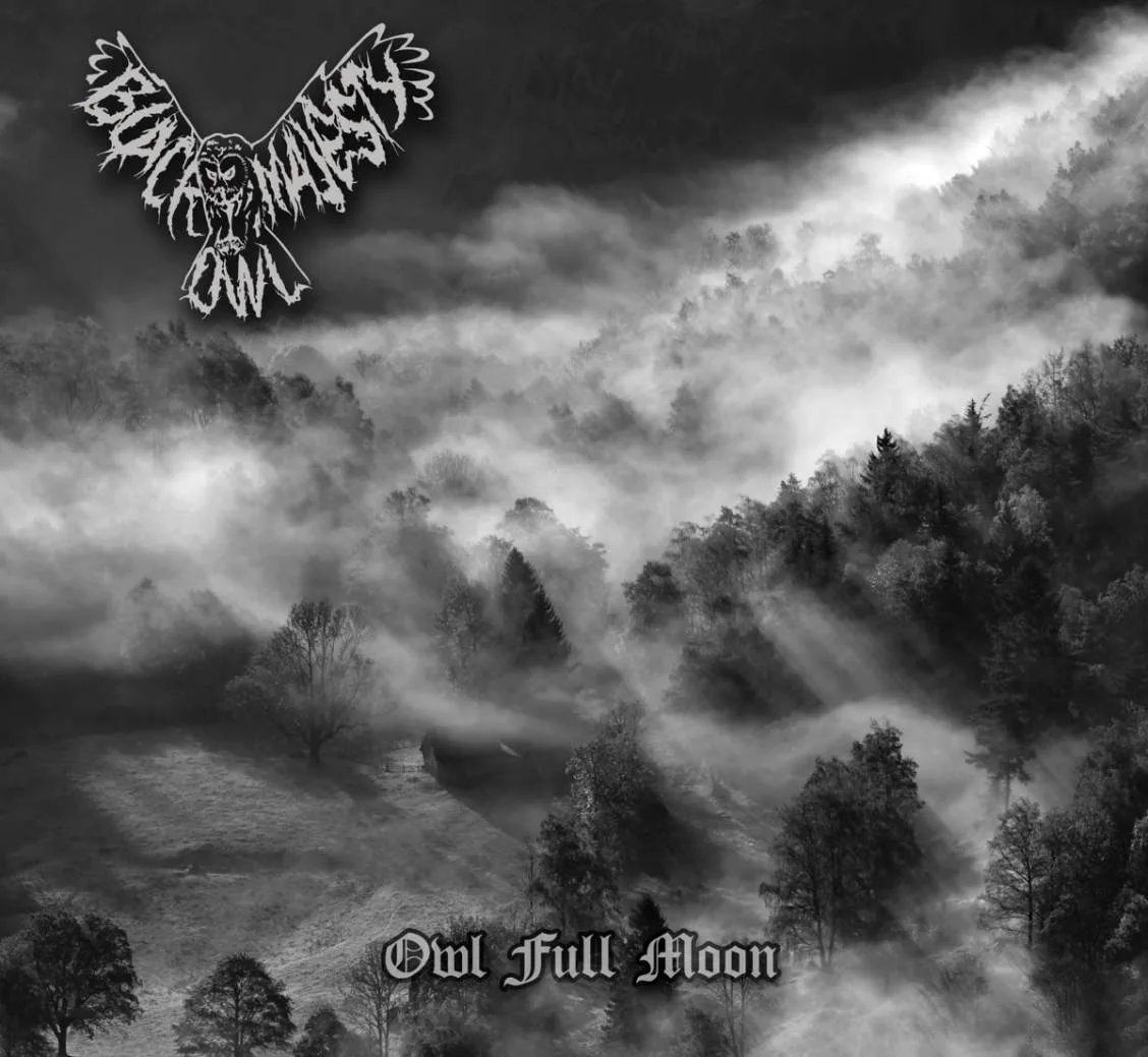 Owl Full Moon cover
