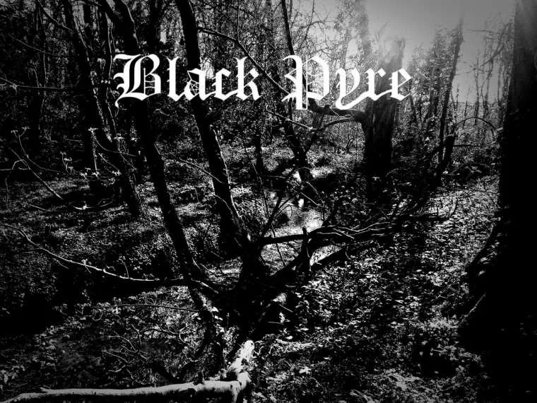 The Forbidden Tomes cover