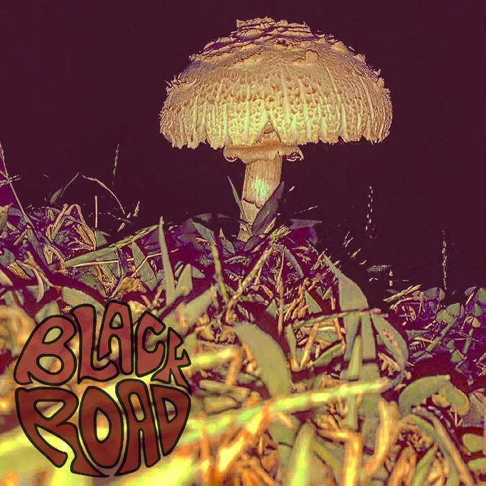 Narcissist (live) cover