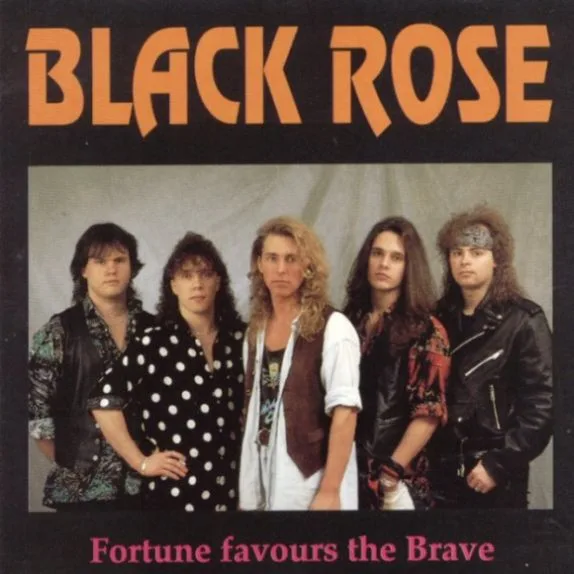 Fortune Favours the Brave cover