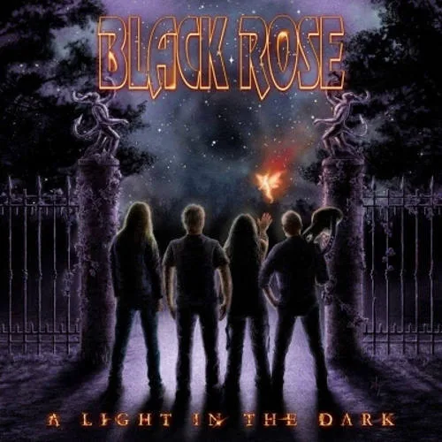 A Light in the Dark cover