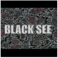 Black See I cover