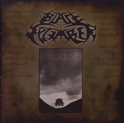 Tide of the Storm cover