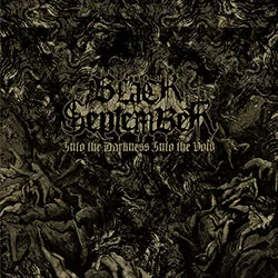 Into the Darkness into the Void cover