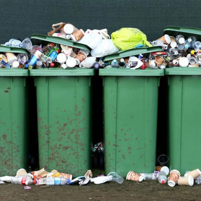 The Beast From the North East cover