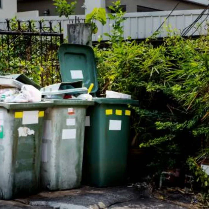 Once a Binman, Always a Binman cover