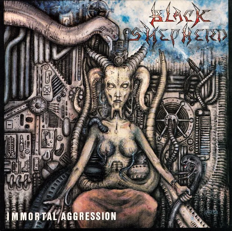 Immortal Aggression cover