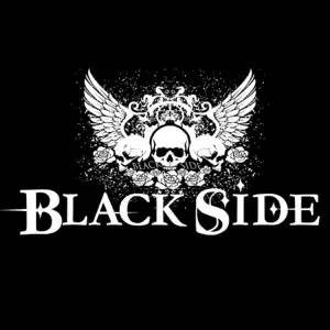 Covers & Hits, Vol. 1 cover