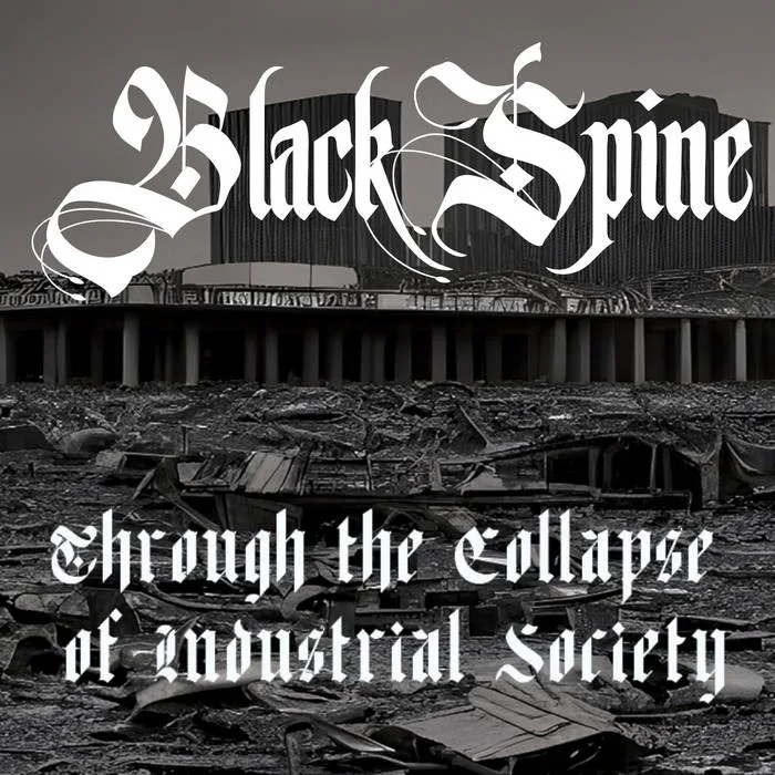 Through the Collapse of Industrial Society cover