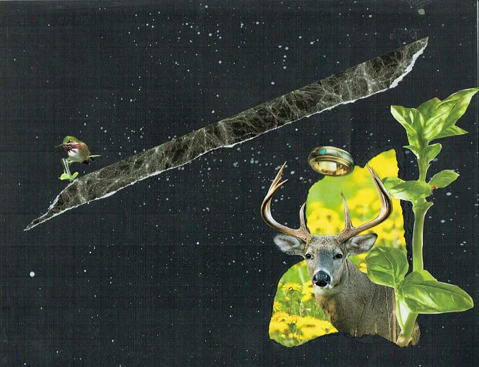 Black Stag Rising cover