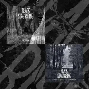 The Liminal / From Forests Unknown cover