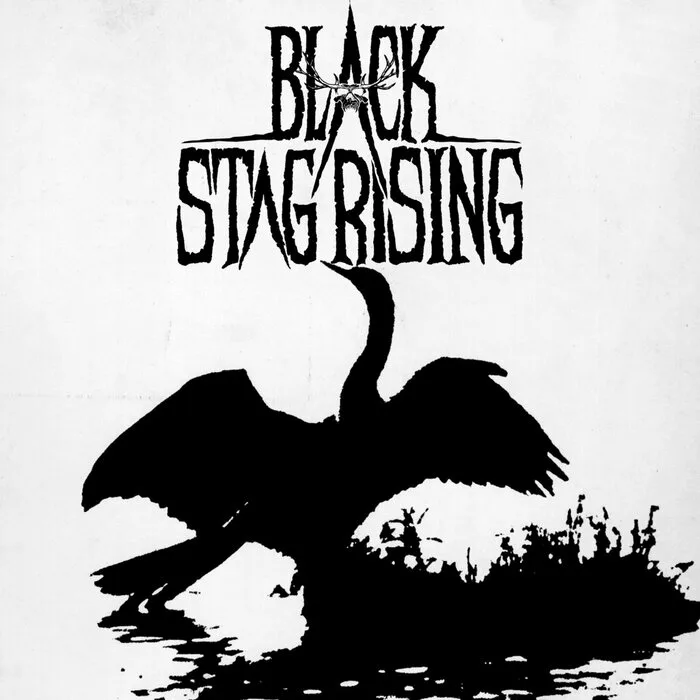 Anhinga cover