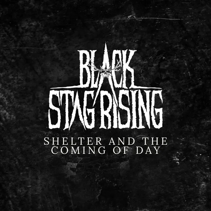Shelter and the Coming of Day cover