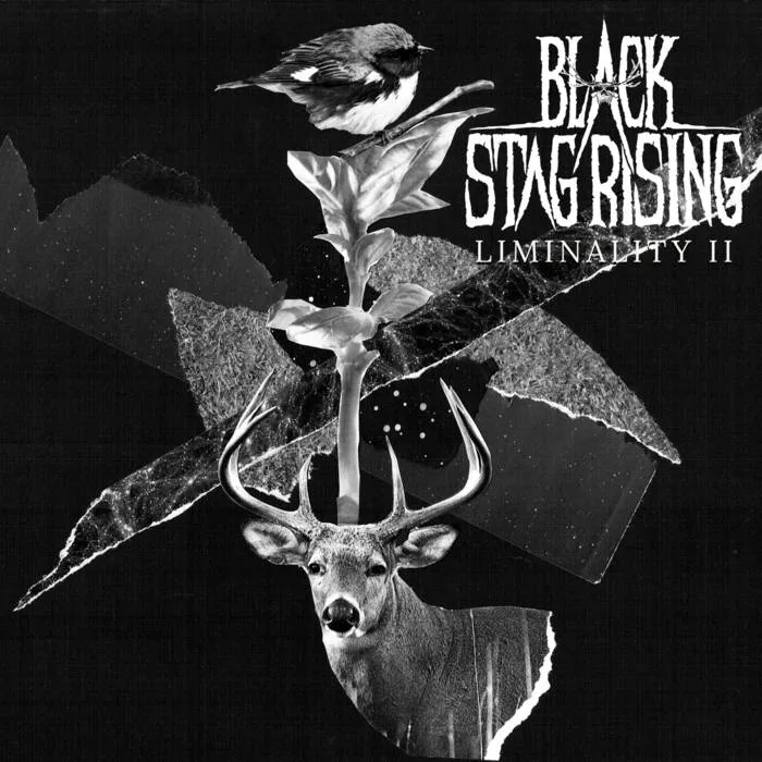 Liminality II cover