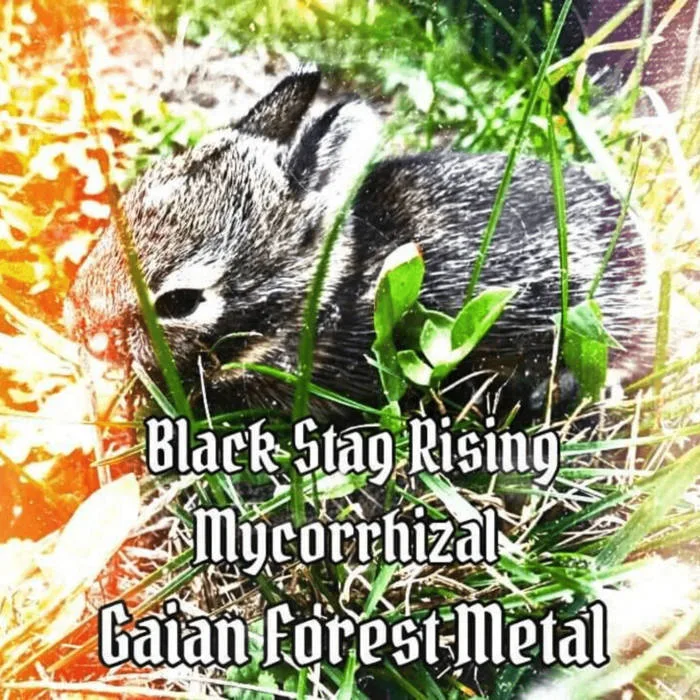 Gaian Forest Metal cover