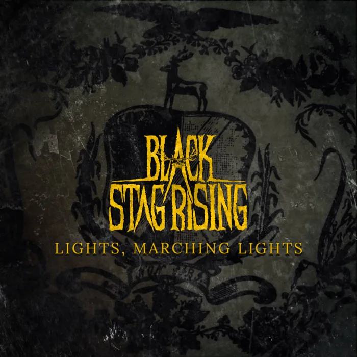 Lights, Marching Lights cover