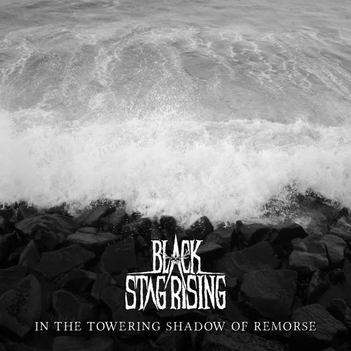 In the Towering Shadow of Remorse cover