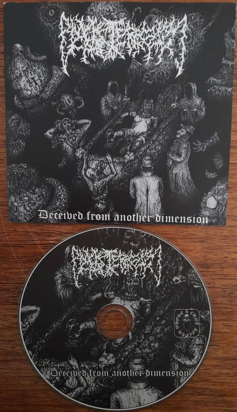 Deceived from Another Dimension cover
