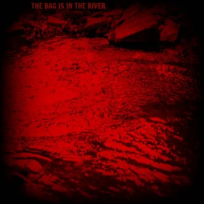 The Bag Is in the River cover