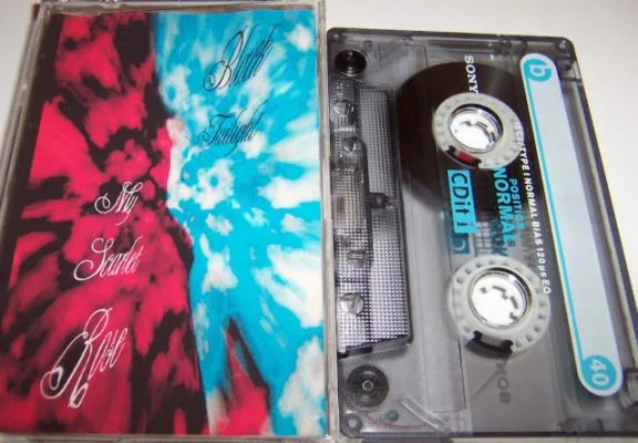 My Scarlet Rose cover