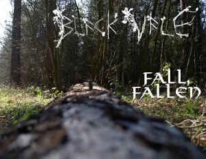 Fall, Fallen cover