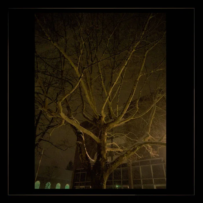 The Stillborn Revolution cover