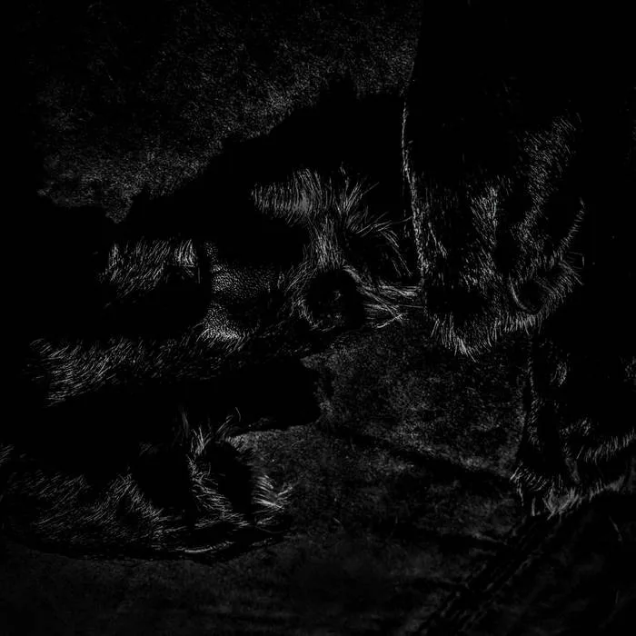 Erinnerung an den schwarzen Nebel (Unreleased Demo 2002) cover