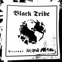 Eternal Necro Metal cover