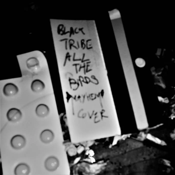 Oppression IV - Outro (Mayhem cover) cover