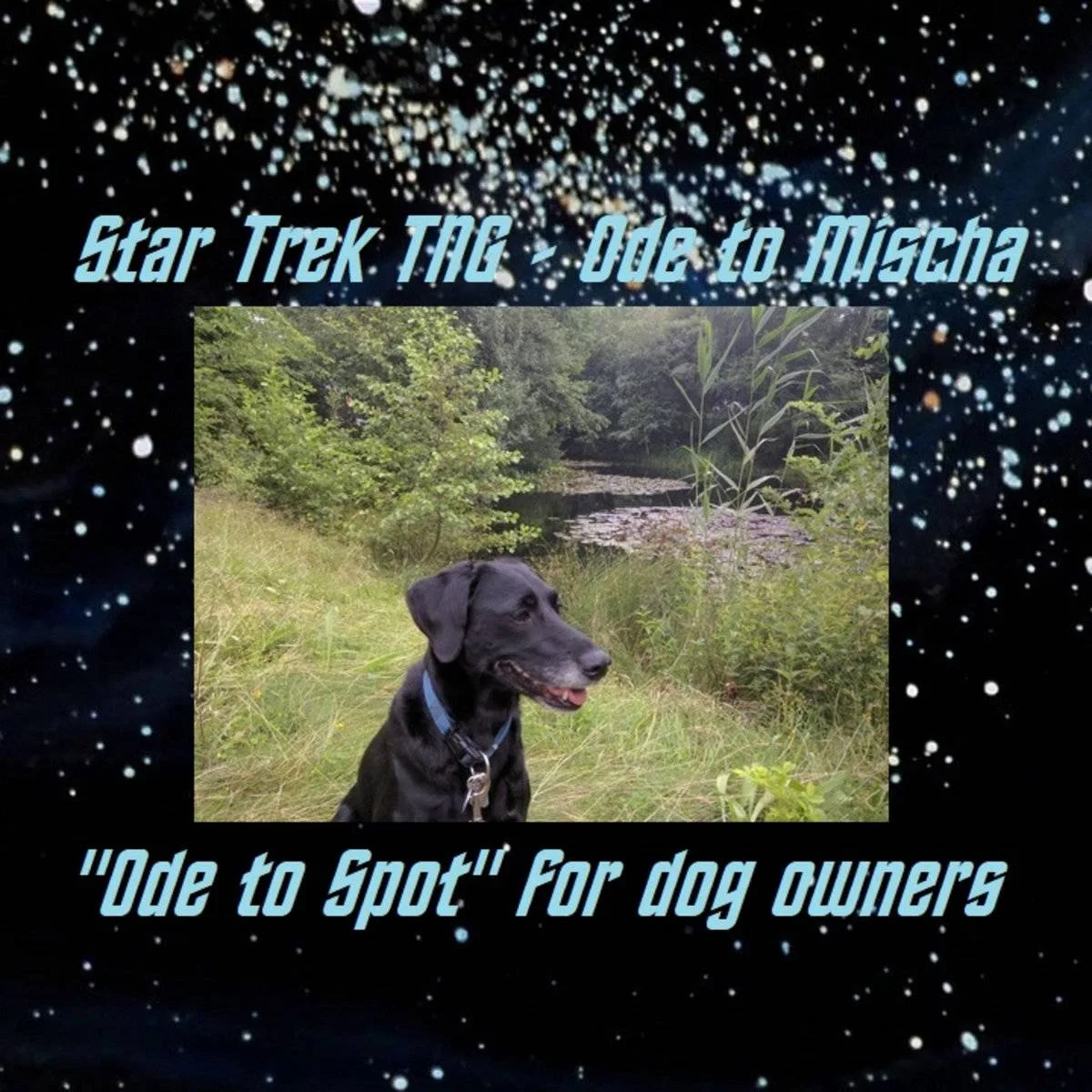 Star Trek TNG - Ode to Mischa cover