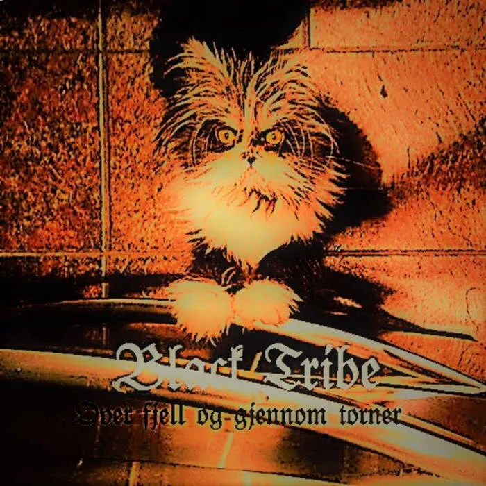 Over fjell og gjennom torner cover