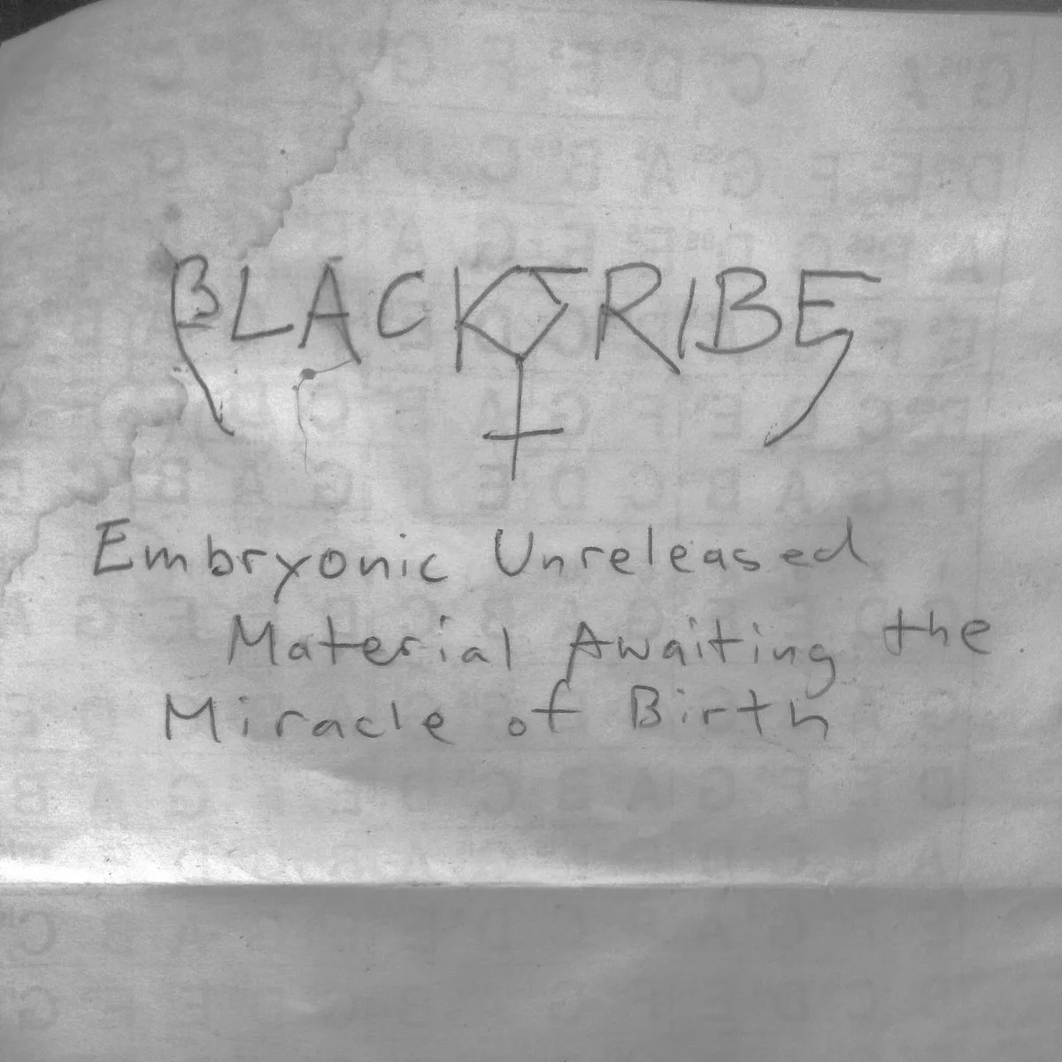 Embryonic Unreleased Material Awaiting the Miracle of Birth cover