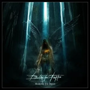 Heart of the Dream cover