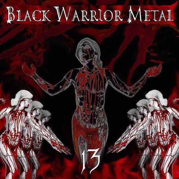 13 cover