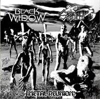 Metal Reunion cover