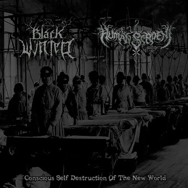 Conscious Self Destruction of the New World cover