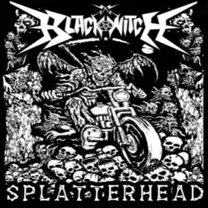 Splatter Head cover