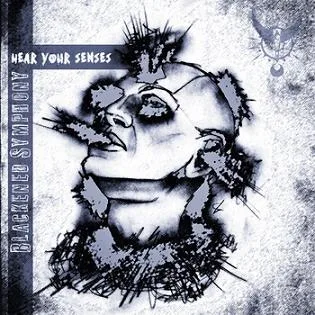 Hear Your Senses cover